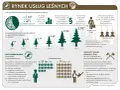 Infografika o rynku usług leśnych: koszty, zatrudnienie i struktura Lasów Państwowych.