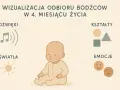 4 skok rozwojowy: dziecko odbiera dźwięki, światła, kształty i emocje.