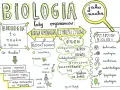 Czy biologia to nauka ścisła? Odkryj złożoność tej dziedziny