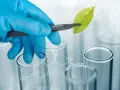 Biologia praca po studiach: jak uniknąć trudności w zatrudnieniu