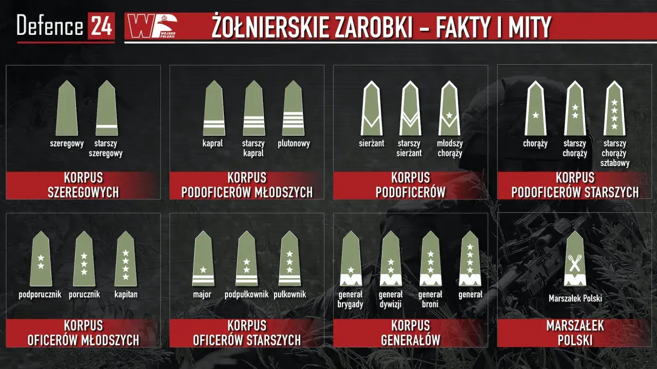 Grafika pokazuje stopnie wojskowe i korpusy, od szeregowego do Marszałka Polski, ilustrując, ile zarabia żołnierz zawodowy na różnych szczeblach kariery.