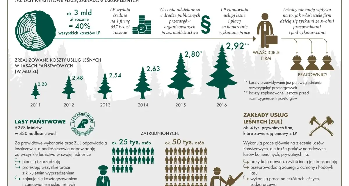 Infografika o rynku usług leśnych: koszty, zatrudnienie i struktura Lasów Państwowych.