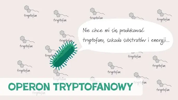 Co to jest transkrypcja w biologii? Klucz do zrozumienia genów