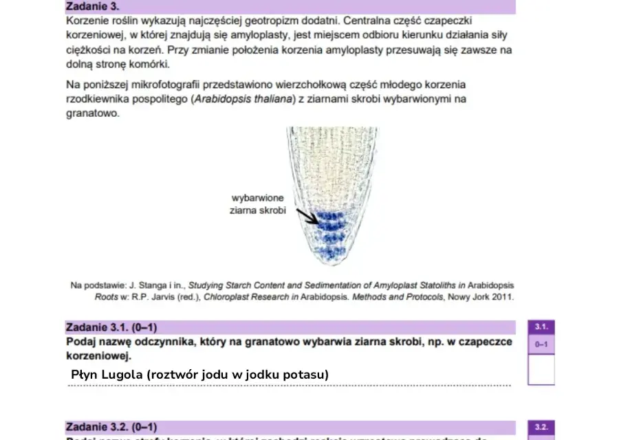 Ile punktów na maturze z biologii? Odkryj, jak je zdobyć!