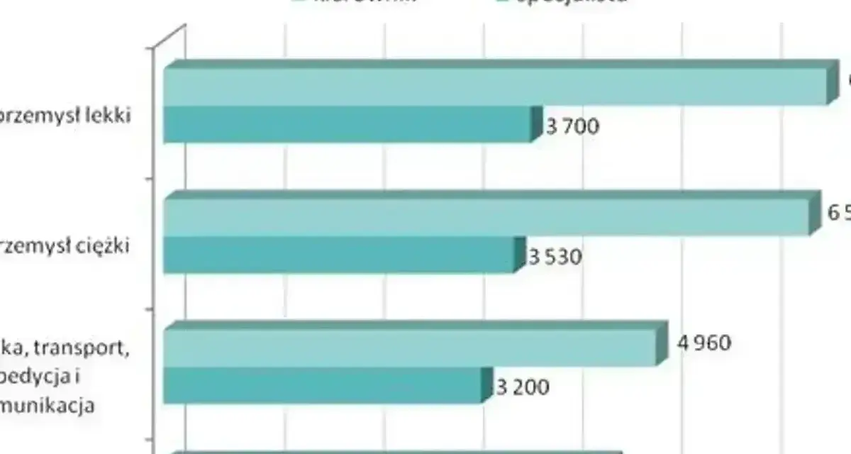 Zarobki logistyków: specjalista w handlu zarabia 3400, kierownik 4500. W przemyśle lekkim zarobki to 3700 i 6500.