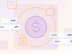 Grafika przedstawia elementy związane z finansami i płatnościami, sugerując funkcjonalność platformy **saas**. Widoczne są ikony portfela, kłódki, celu, kalkulatora, megofonu oraz symbol dolara.