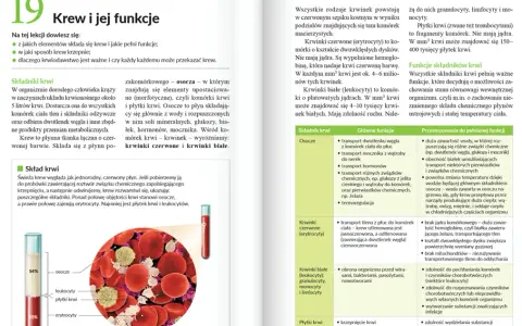Jak szybko nauczyć się biologii: skuteczne metody na szybkie przyswajanie wiedzy