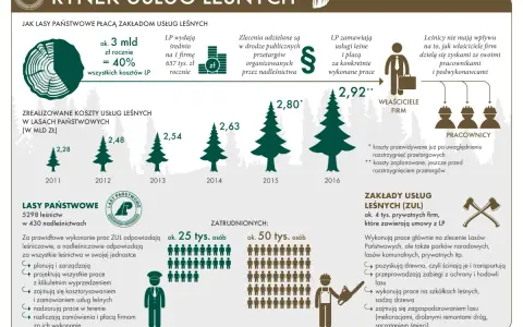 Infografika o rynku usług leśnych: koszty, zatrudnienie i struktura Lasów Państwowych.