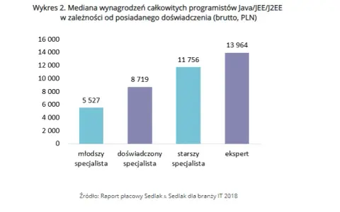 Ile zarabia informatyk po studiach? Zaskakujące fakty o wynagrodzeniach