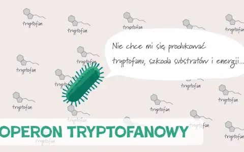 Co to jest transkrypcja w biologii? Klucz do zrozumienia genów