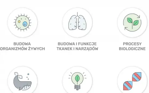 Co na maturę z biologii? Najważniejsze tematy i skuteczne metody nauki