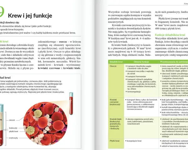 Jak szybko nauczyć się biologii: skuteczne metody na szybkie przyswajanie wiedzy