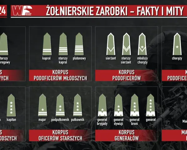 Grafika pokazuje stopnie wojskowe i korpusy, od szeregowego do Marszałka Polski, ilustrując, ile zarabia żołnierz zawodowy na różnych szczeblach kariery.