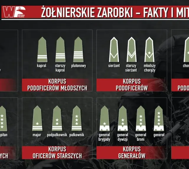 Grafika pokazuje stopnie wojskowe i korpusy, od szeregowego do Marszałka Polski, ilustrując, ile zarabia żołnierz zawodowy na różnych szczeblach kariery.