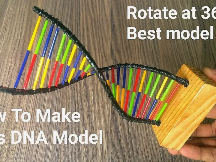 Jak zrobić DNA na biologię - proste kroki do stworzenia modelu