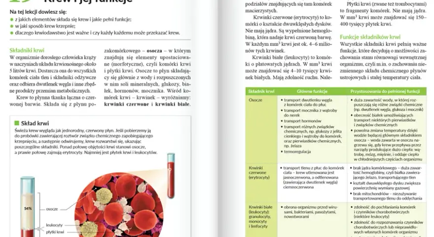 Jak szybko nauczyć się biologii: skuteczne metody na szybkie przyswajanie wiedzy
