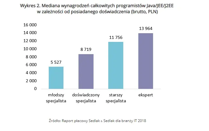 Ile zarabia informatyk po studiach? Zaskakujące fakty o wynagrodzeniach