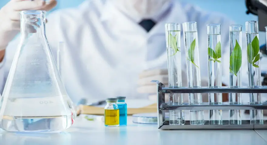 Co można robić po studiach biotechnologii? Odkryj ciekawe kariery