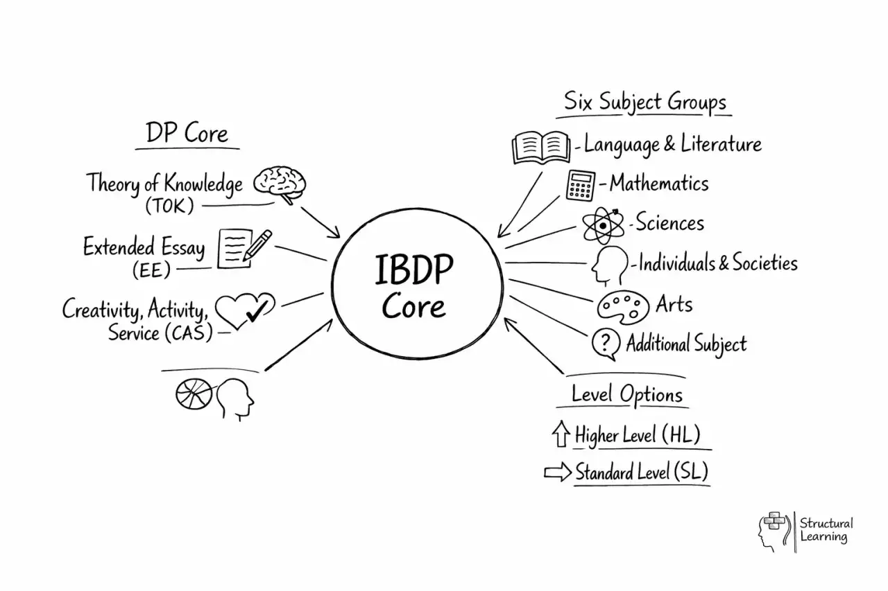 Schemat IBDP Core: TOK, EE, CAS, 6 grup przedmiotów (język, matematyka, nauki, społeczne, sztuka, dodatkowy), poziomy HL/SL. Klucz do matury międzynarodowej.