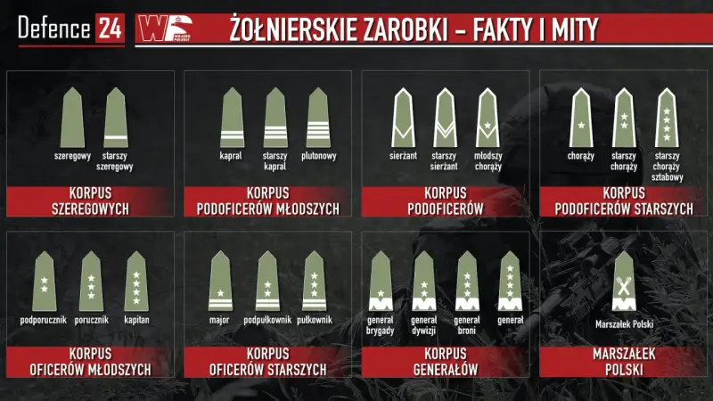 Grafika pokazuje stopnie wojskowe i korpusy, od szeregowego do Marszałka Polski, ilustrując, ile zarabia żołnierz zawodowy na różnych szczeblach kariery.
